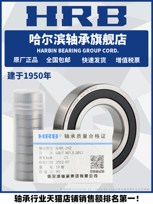 Hrb哈尔滨轴承6300 6301 6302 6303 6304 6305 - Zz 2Rz