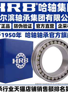 HRB 哈尔滨轴承 NN 3022 3024 3026 3028 K/W33 P5 P4 圆柱滚子