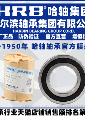 HRB 哈尔滨轴承 16018 16019 16020