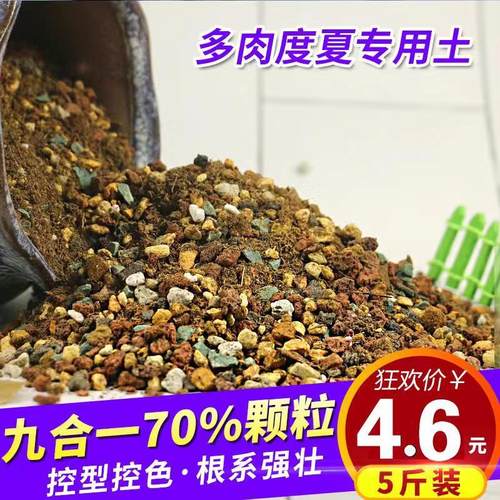 多肉植物专用营养土大包泥炭通用土肉肉叶插种植土多肉颗粒土包邮