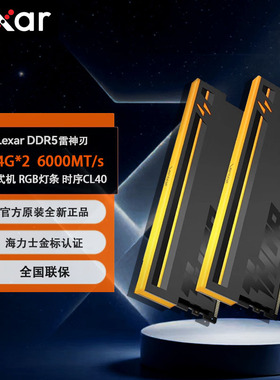 雷克沙雷神之刃 DDR5 128G台式内存条64GB×2套条CL40/42 6000MHZ