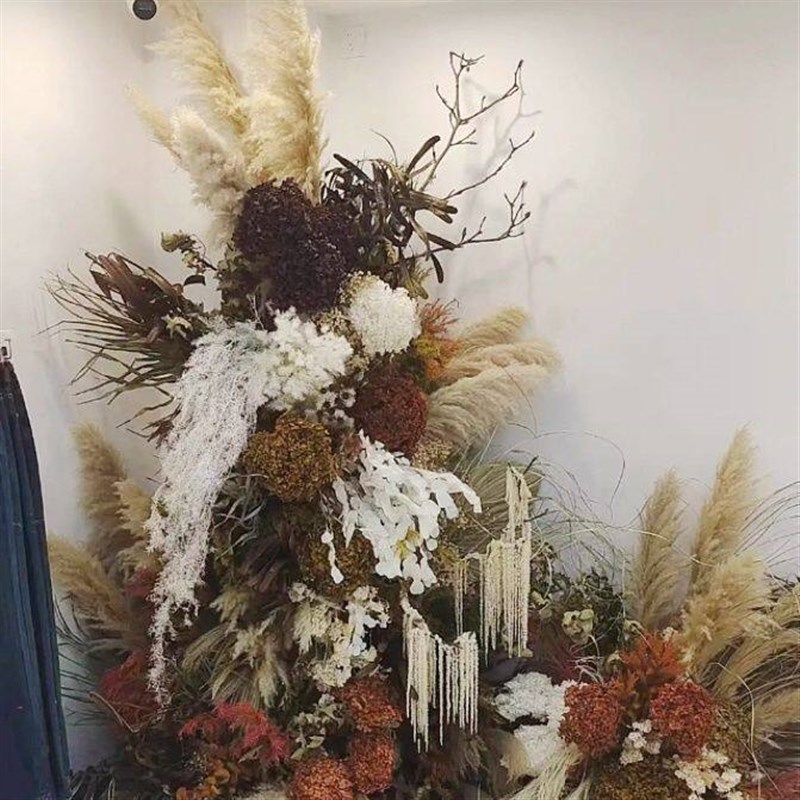 速发芦苇真花干花直播背景套装网红悬挂服装橱窗餐厅装饰蒲苇民宿