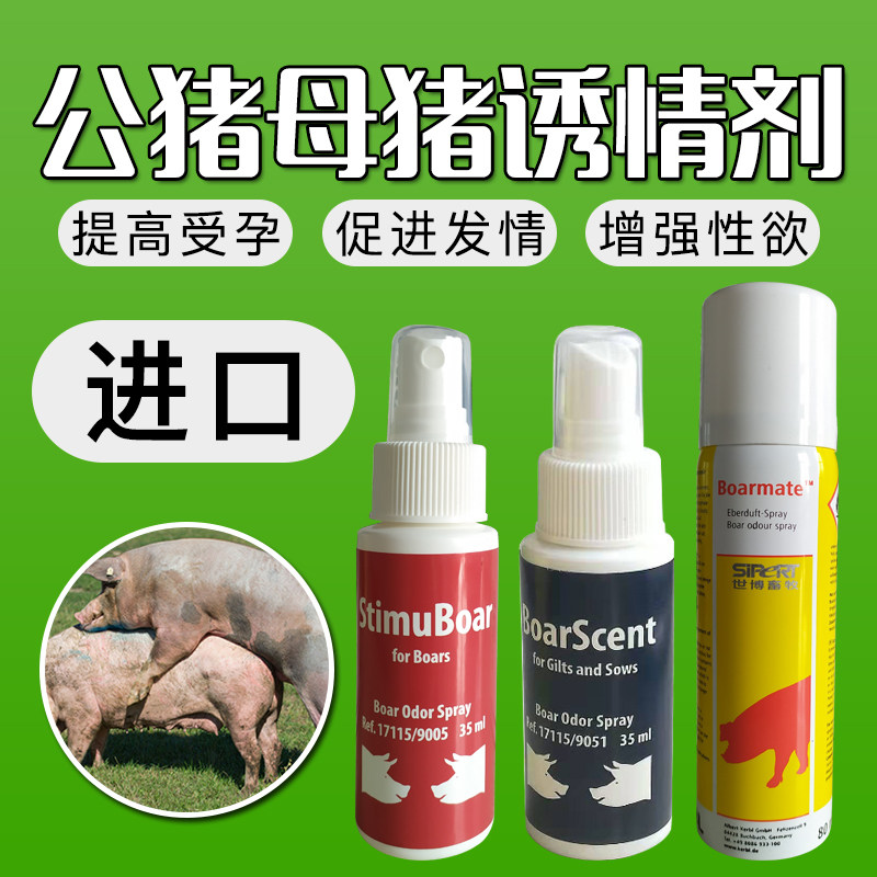 速发米诱剂公猪诱情剂 种猪母猪尼情图 种猪采精诱导气味剂剂