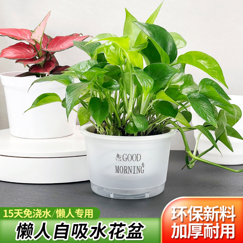 速发懒人花盆外动遮丑自料厂家直销风无孔水培种花塑套吸水花盆丨