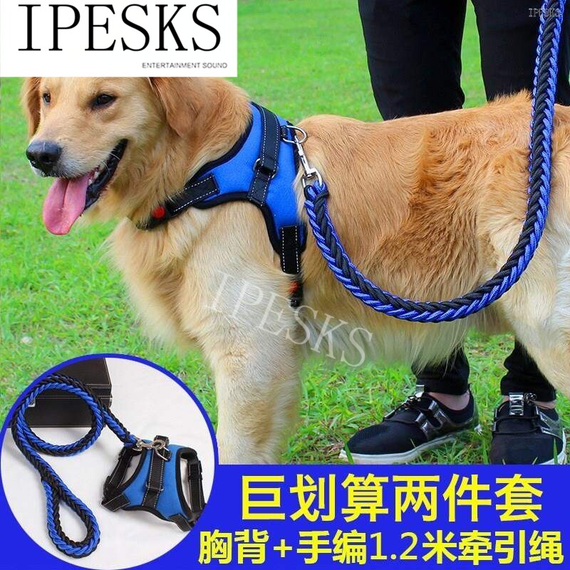 速发dog lshee chest h  ddg lsh husky  oog ch