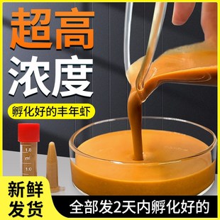 速发冰冻丰年母幼虫冷冻孵化丰年虾卵鱼型鱼粮孔雀小食水虾饲料卤