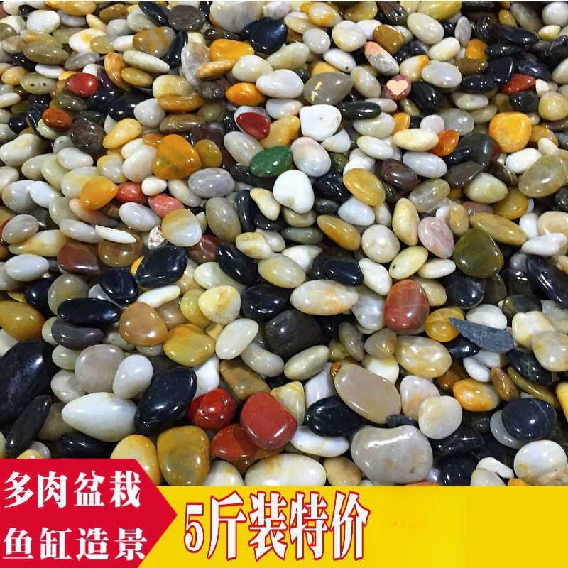速发q石鹅卵石大批量5斤雨花y原石鹅软暖路铺地庭景园林造院大小