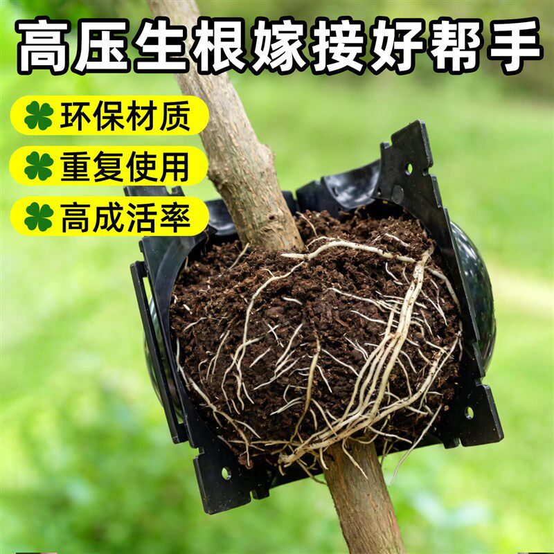 速发嫁接高压包空枝盒子扦插塑料植物树木高压生根繁殖器球扦插盆