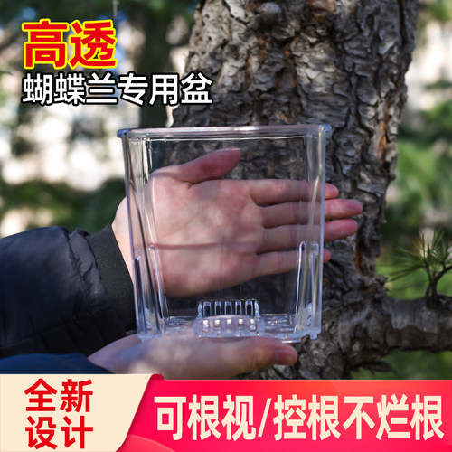速发透明用根盆兰花水苔蝴花兰专控蝶盆塑料透气镂空大号花盆家用