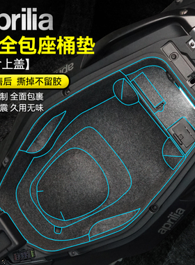 适用阿普利亚SRMAX250 300坐桶垫储物箱内衬马桶保护垫座桶垫改装