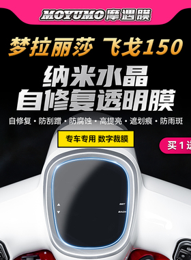 适用23/24款南方梦拉丽莎飞戈150/250贴纸仪表膜大灯贴膜改装配件