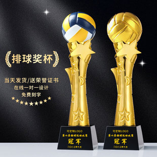 排球奖杯定制定做水晶金属学校职工运动气排球比赛冠军团体纪念品