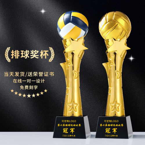 高档排球奖杯定制气排球赛事颁奖