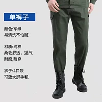 Зеленые летние штаны