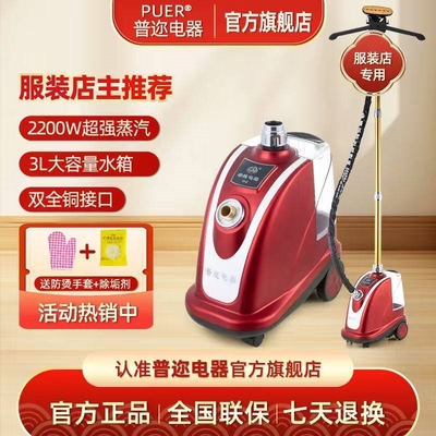 普迩大功率蒸汽挂烫机商用服装店