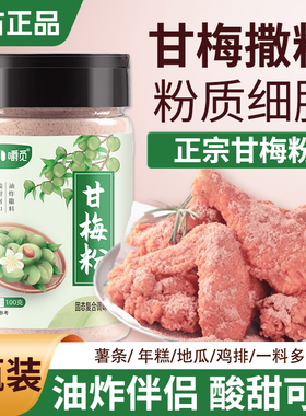 甘梅粉梅子粉油炸鸡柳空气年糕薯条地瓜酸甜甘梅专用撒粉瓶装家用