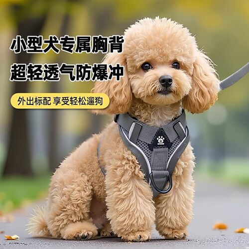 福莱希蒙淼狗狗牵引绳遛狗绳背心式中小型犬猫博美比熊泰迪胸背带