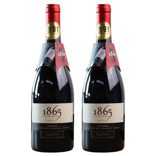 智利原瓶进口红酒圣佩特罗1865西拉干红葡萄酒750ml*2双瓶装