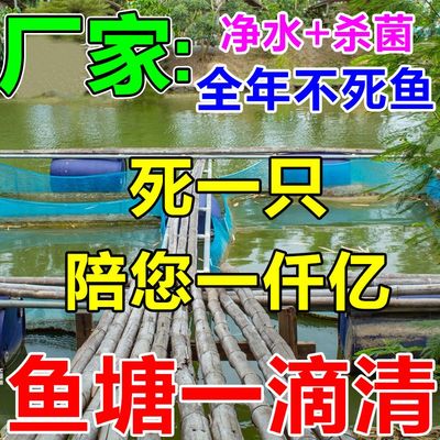 鱼塘净水剂池塘变清养鱼专用净水剂鱼塘杀毒菌除臭水变清水质净化