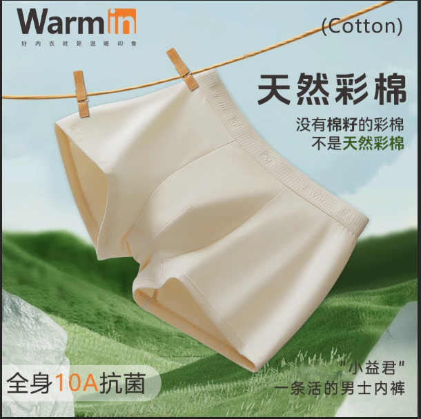 温暖印象男士彩棉内裤大码300斤男短裤头纯棉10A抗菌四角平角裤,女士内衣/男士内衣/家居服,男平角内裤,淘宝优惠券,粉丝福利购,淘宝优惠卷