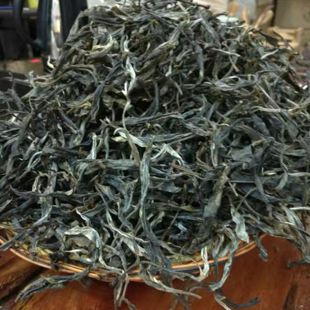 缅甸果杆古树普洱茶2023年生茶叶
