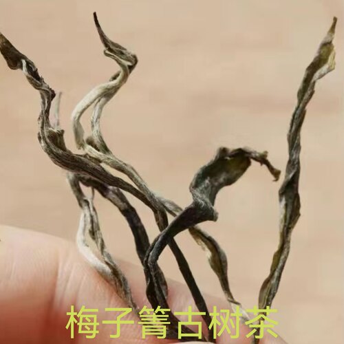 梅子箐古树普洱茶生茶单株散茶叶