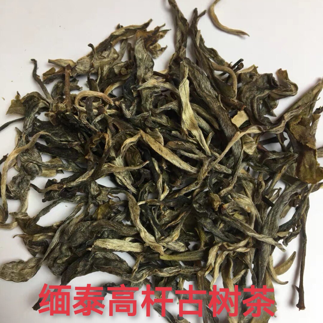 缅甸通天高杆古树2023年头春普洱茶生茶散茶叶 香高味醇 茶气霸道