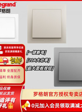 罗格朗大功率20A双极灯曲博蕴开关曲架冷气热水炉挚香港一键断电