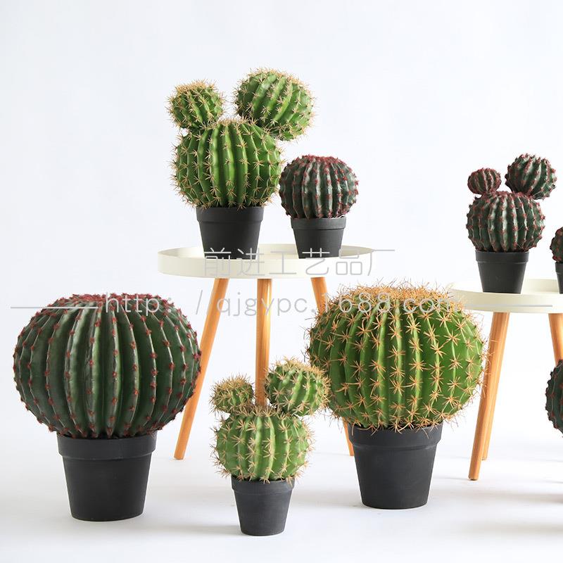 塑胶沙生植物仿真仙人球假仙人掌双生仙人球盆栽阳台仿真植物