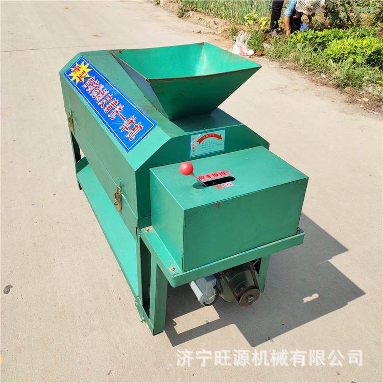 青核桃去皮机 鲜核桃去皮机 全自动清洗去皮一体机