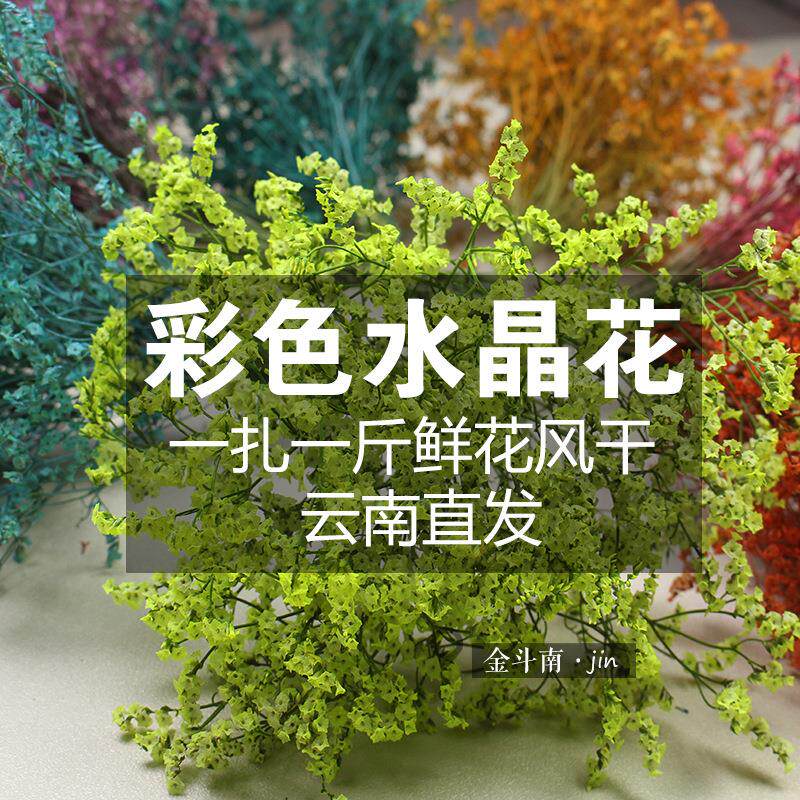 染色水晶草干花云南干花束彩色水晶花基地直发花店家居办公装饰花