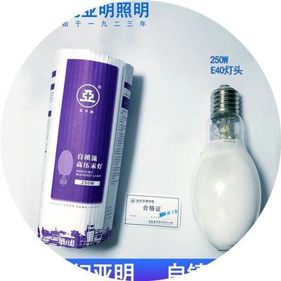 上海世纪1923自镇流高压汞灯GYZ125W160W250W45N0W荧光自汞泡