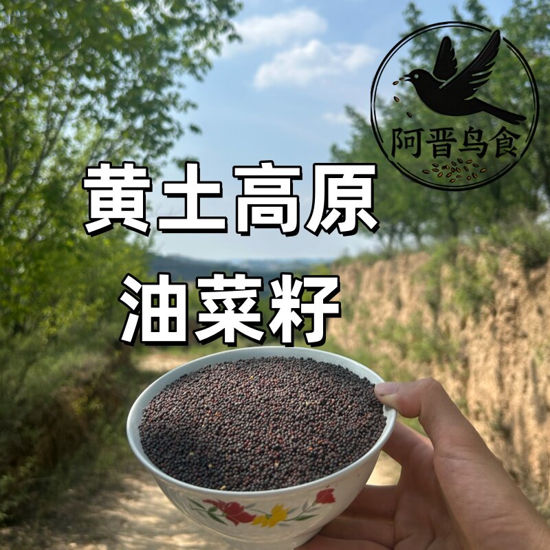 油菜籽鸟粮繁殖期能量非转基因