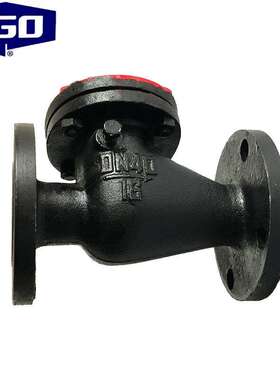 FGO铸铁旋启式止回阀法兰连接铜芯1.0mpaH44T-10DN100