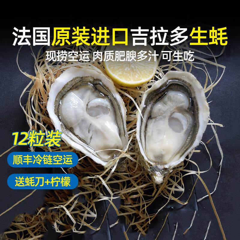法国进口鲜活即食吉拉多生蚝N3顺丰空运新鲜刺身级生吃大海蛎12粒