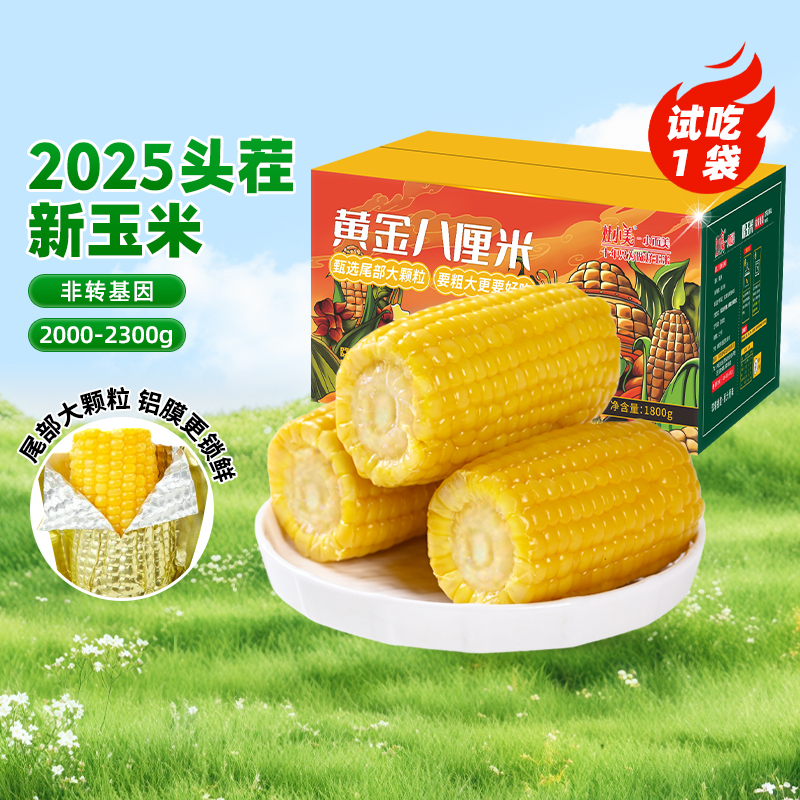 灶小美新玉米段新鲜黄糯玉米12段装真空包装内蒙古粘黏玉米棒早餐