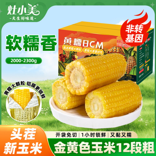 灶小美玉米段新鲜糯玉米真空装新鲜新玉米早餐粗粮苞米黏糯玉米段