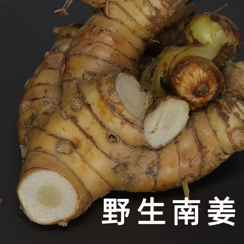 南姜新鲜包邮 精选野生广西山姜生姜/南姜