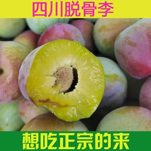 半边脆红茵红李脱骨李当季水果