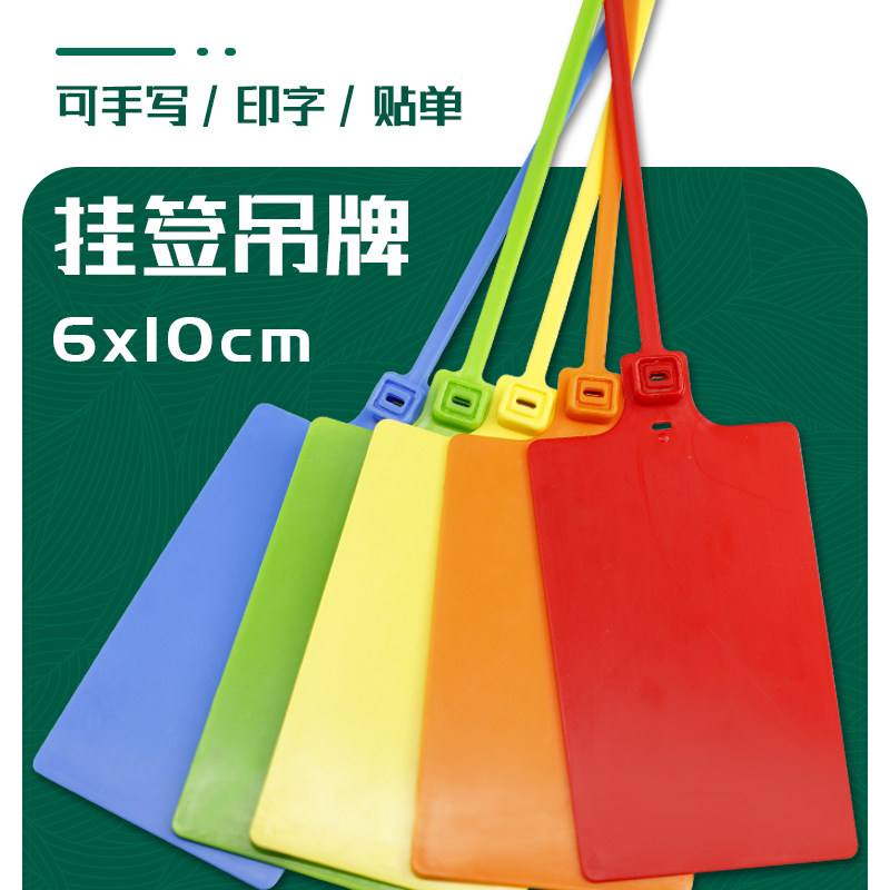 物流标签牌塑料封条扎带快递吊牌