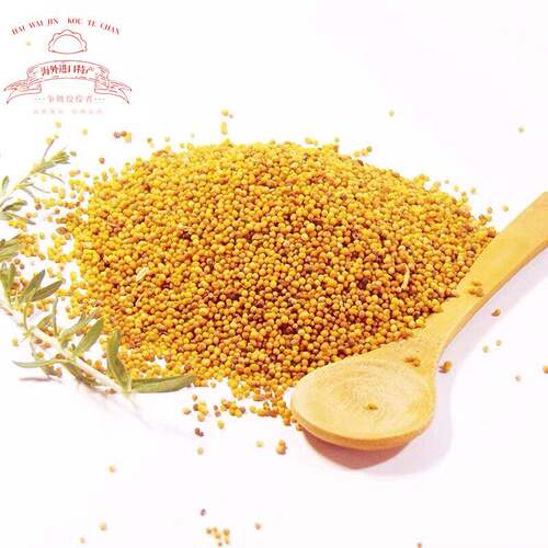 黄芥籽 黄芥子 Yellow mustard seed mustard seeds 50g