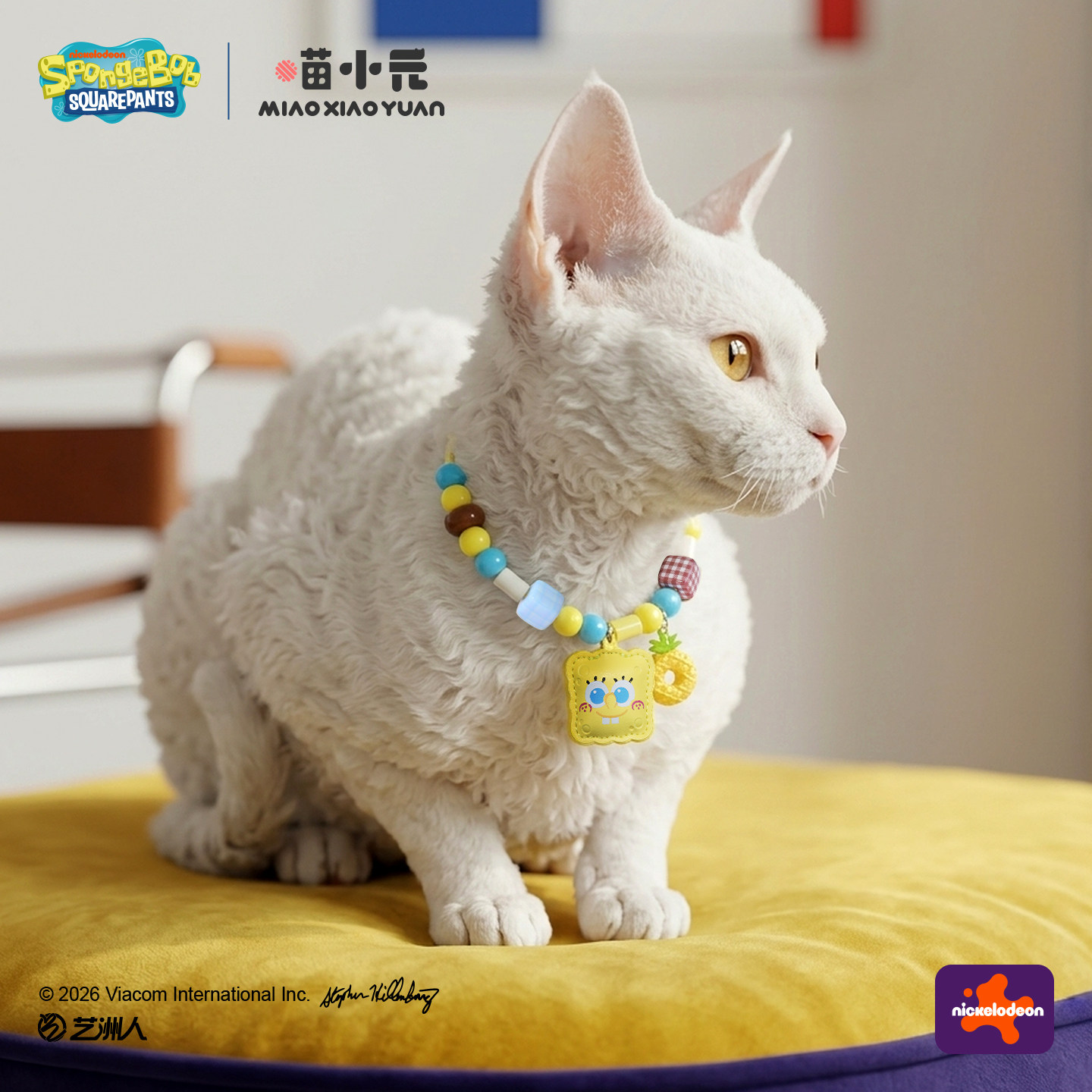 喵小元海绵宝宝联名猫狗项圈
