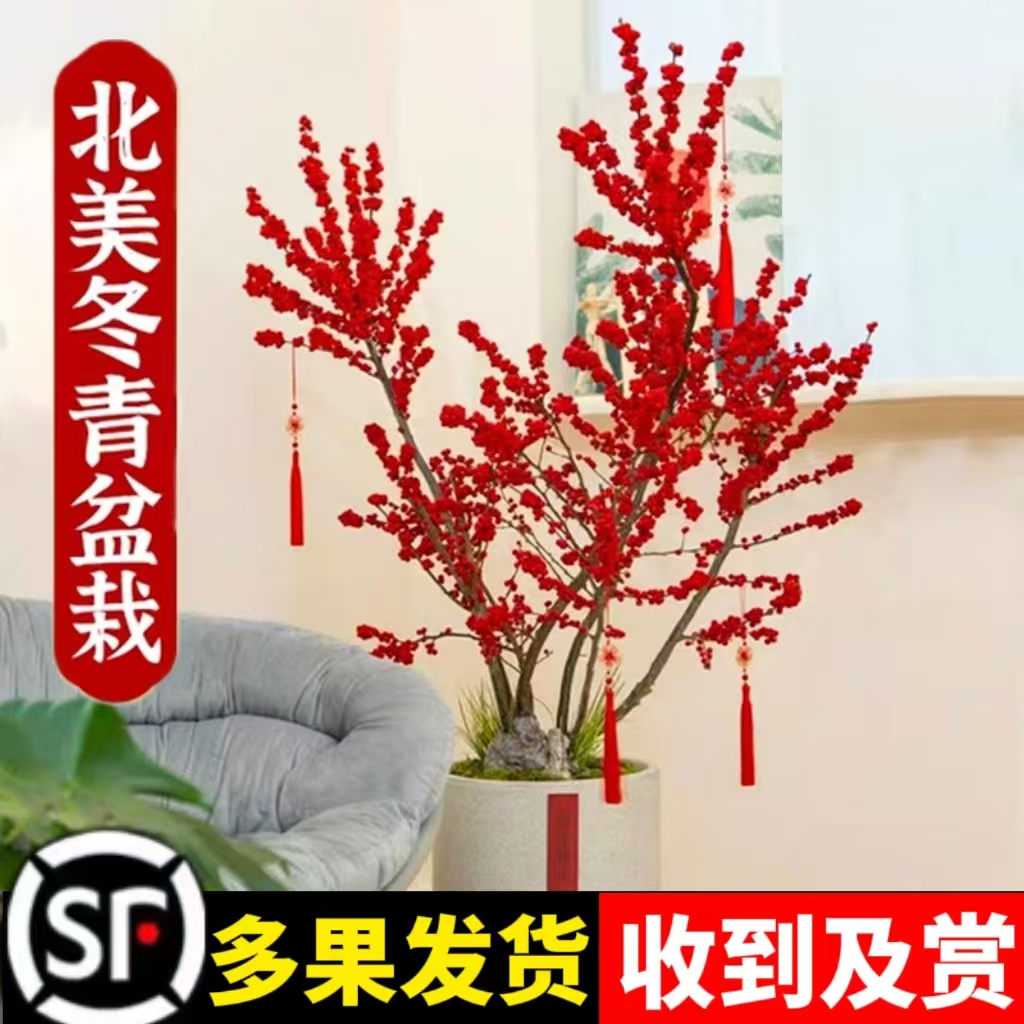 喜栽耐寒植物鲜切水培