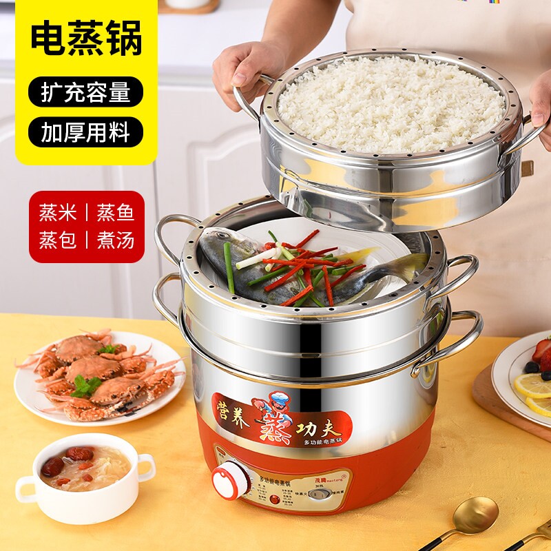 多功能电蒸锅无孔蒸肉蒸饭家用多
