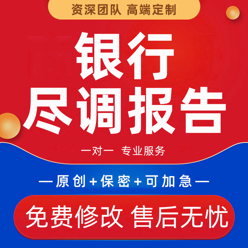 银行授信尽调报告代写债券募集说明书项目可研财务数据分析PPT制
