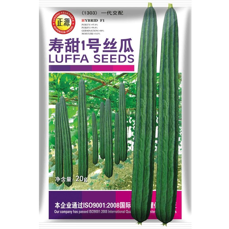 寿光直发寿甜1号棱角丝瓜种子早熟脆甜八角丝瓜种籽大田易种