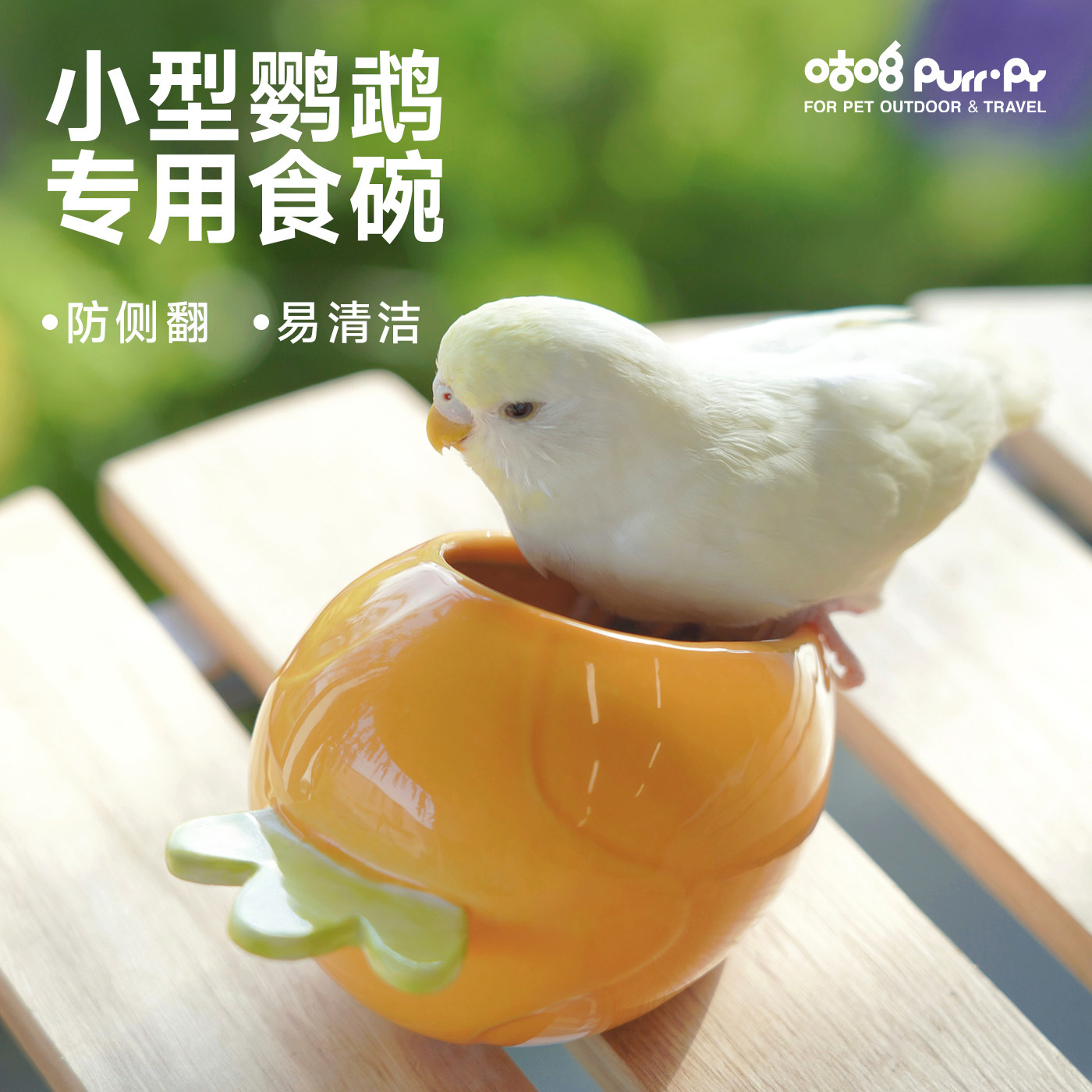 咕噜小型鹦鹉专用食碗防侧翻易清洁胡萝卜陶瓷牡丹喂食器鸟禽用品图片