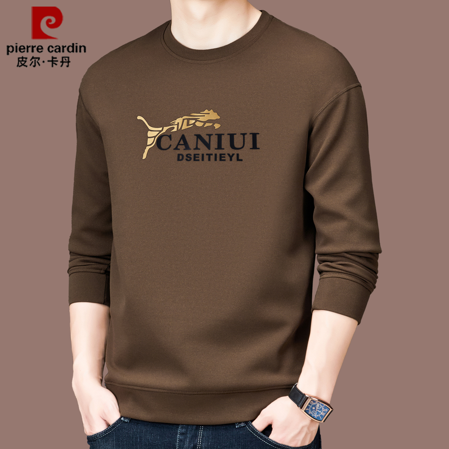 皮尔卡丹高端长袖卫衣男士春秋季