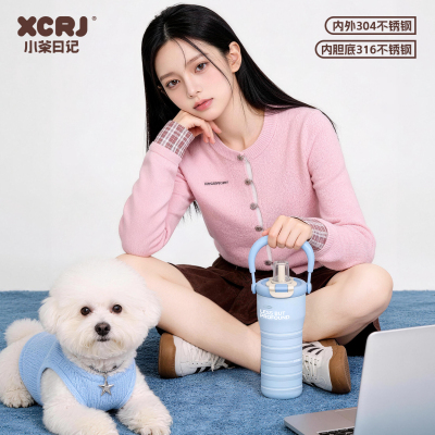 【小李专享】【顾奈】小茶日记时尚便携高颜值简约提手出行水杯td