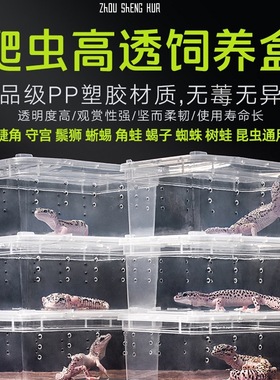 宠物爬虫饲养盒爬宠箱角蛙守宫蜥蜴蛇昆虫蟋蟀蜘蛛乌龟蟑螂人渣盒